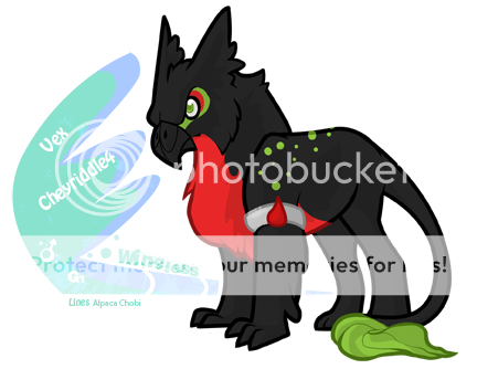 User Image